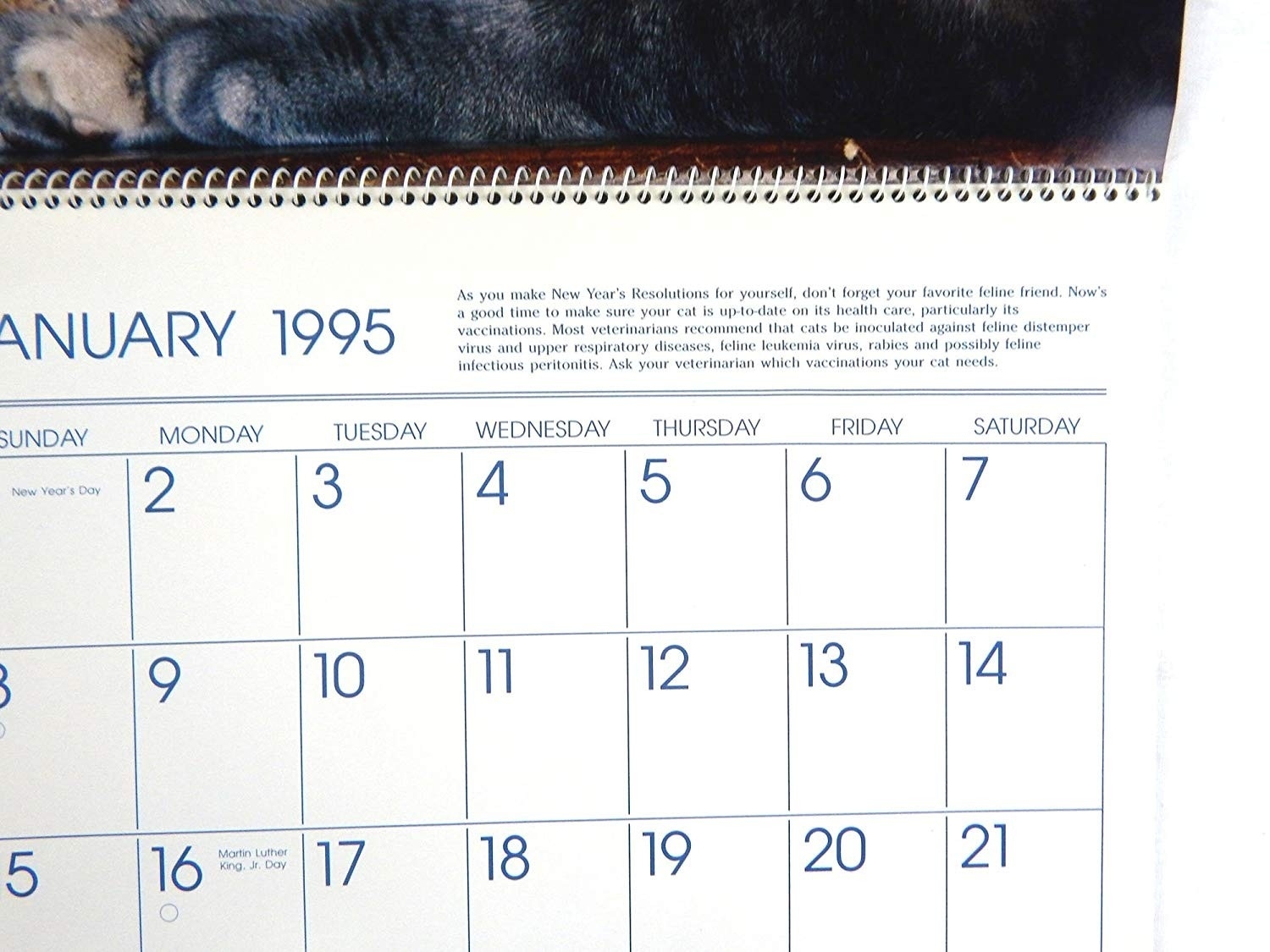 1995 Calendar | Nakmuaycorner Calendar 1995 Holidays India