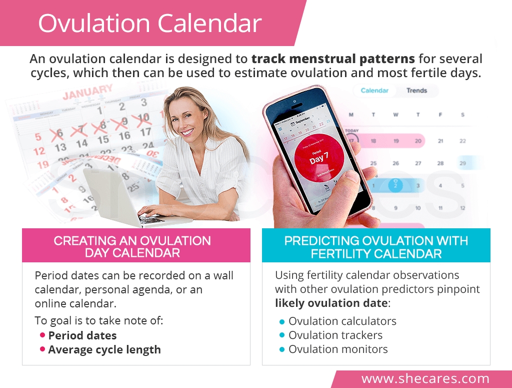 Ovulation Calendar | Shecares Ovulation Calendar 3 Month