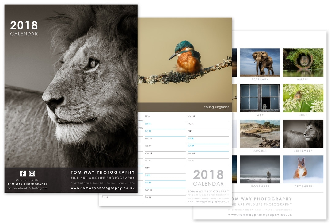 Photography Calendar Design 2018 - Modred Design Calendar Printing For Photographers