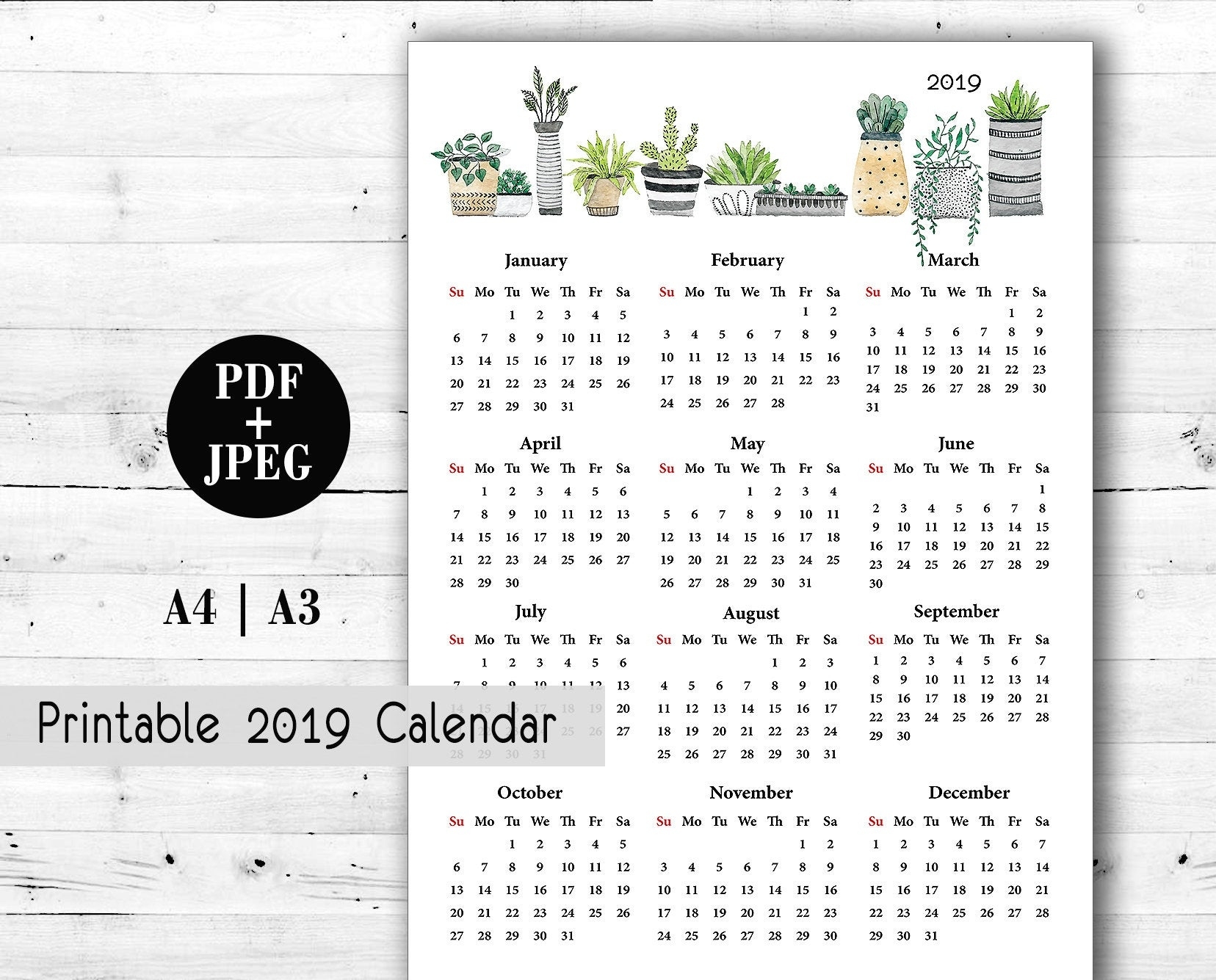 Printable Wall Calendar A4 A3 Year Large Succulent Calendar | Etsy A3 Wall Calendar Printing