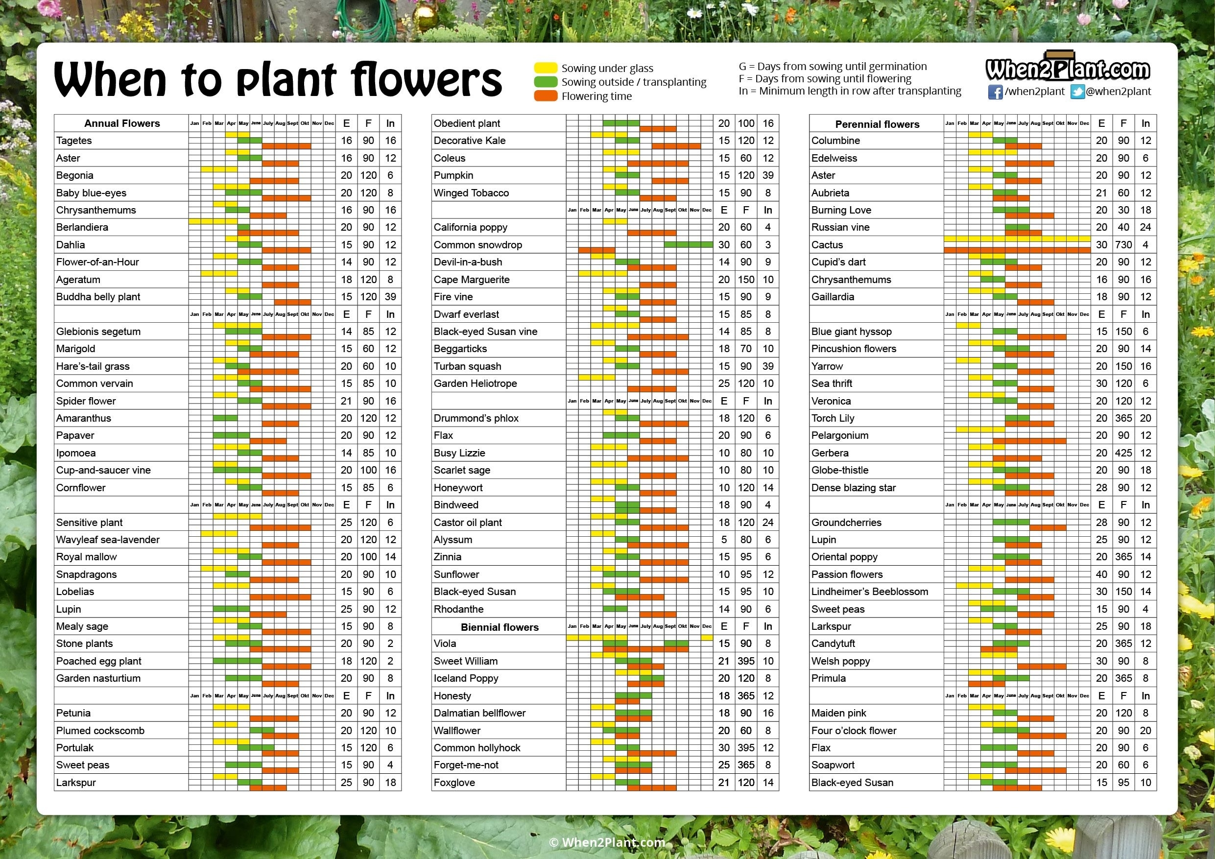 When To Plant Flowers. Sowing Calendar. Seeds Pots List 1. Annual Monthly Gardening Calendar Zone 8