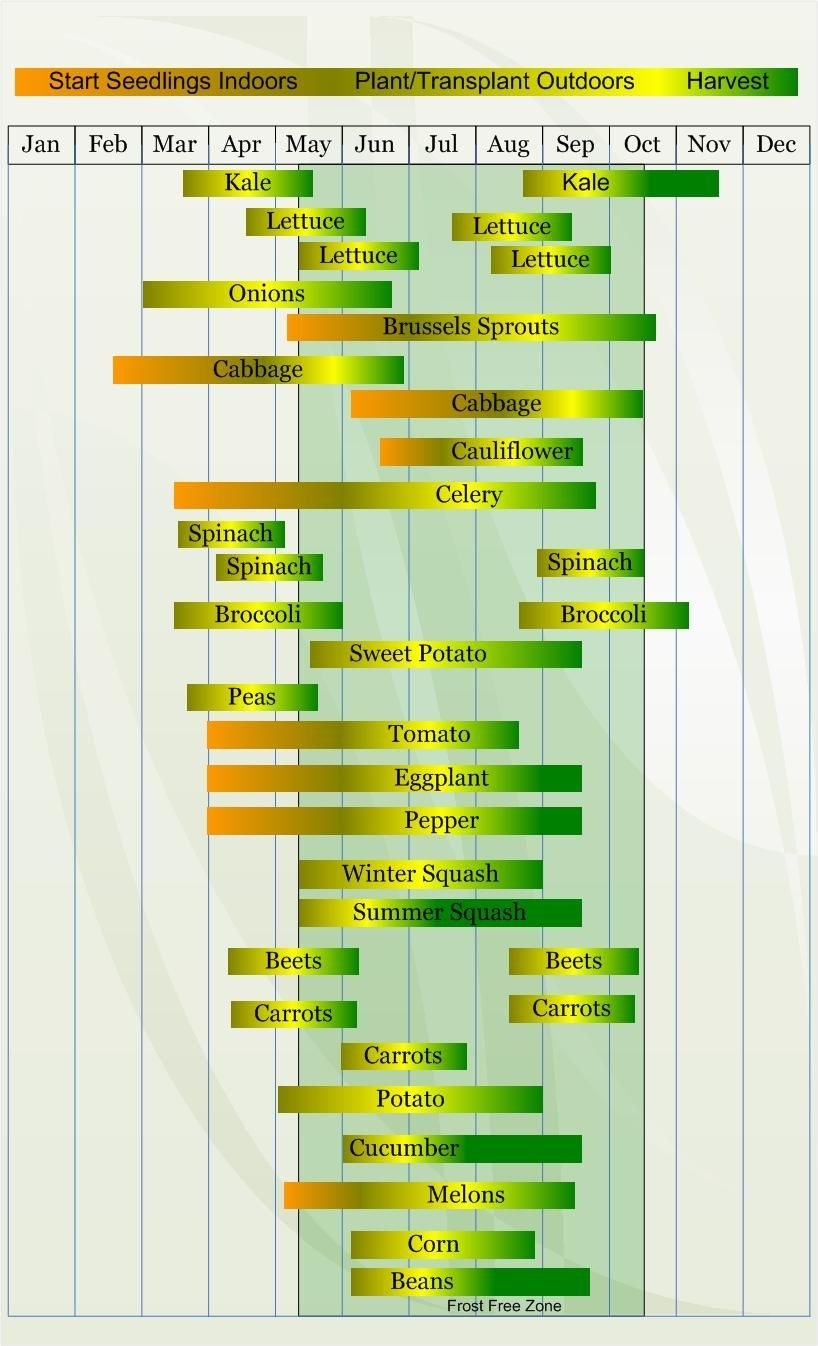 Zone 6 Vegetable Planting Calendar Describing Approximate Dates To Monthly Gardening Calendar Zone 8