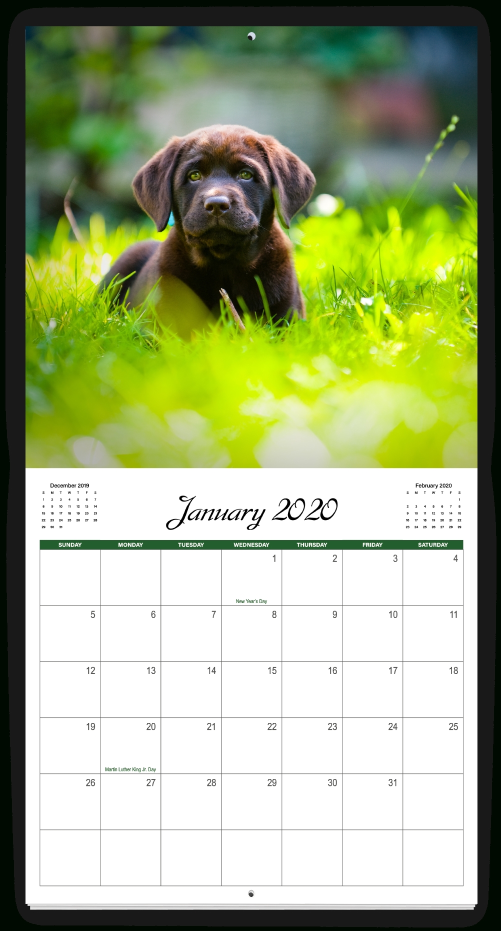 Impressive 2020 Calendar Printable Free Indesign • Printable Blank