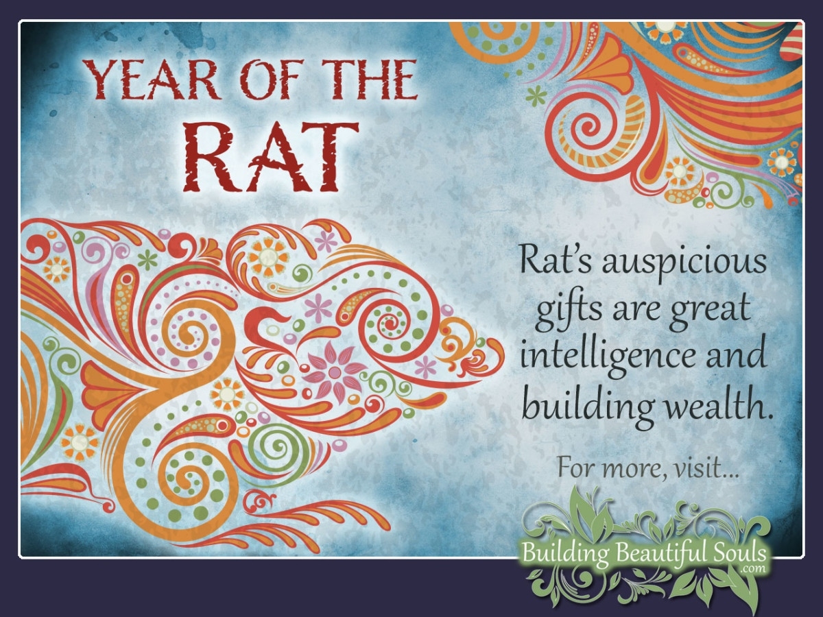 Chinese Zodiac Rat | Year Of The Rat | Chinese Zodiac Signs Impressive Chinese Zodiac Signs And Meanings Years 1900 To Present