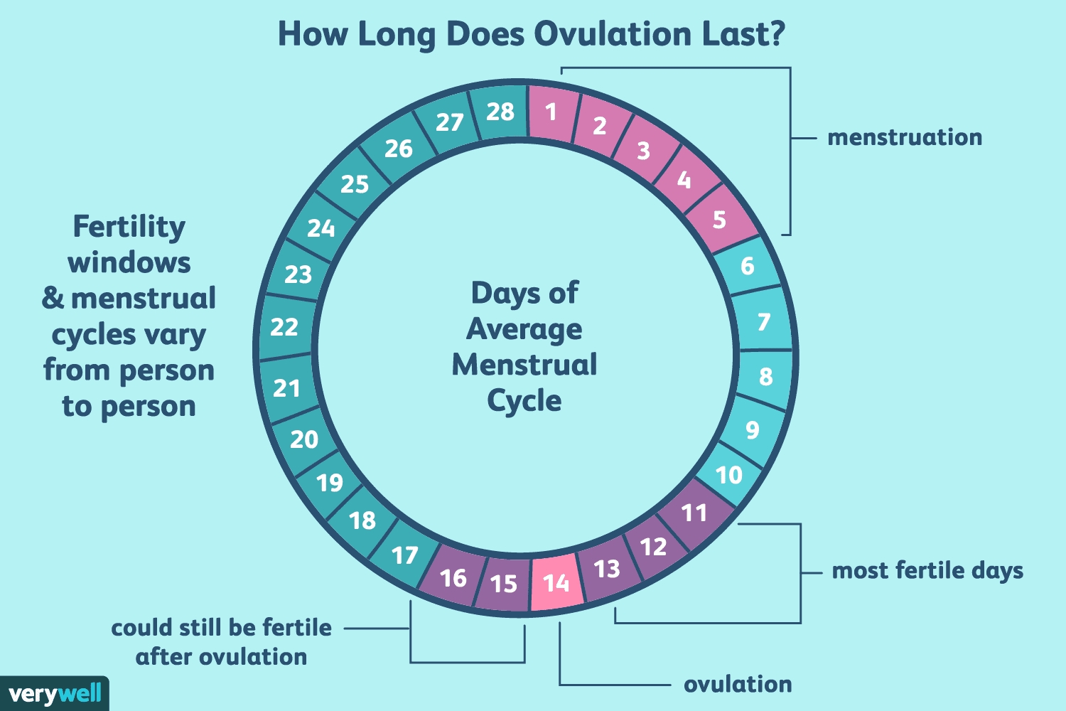 How Long Does Ovulation And Your Fertile Window Last? 3 Month Ovulation Calendar Calculator