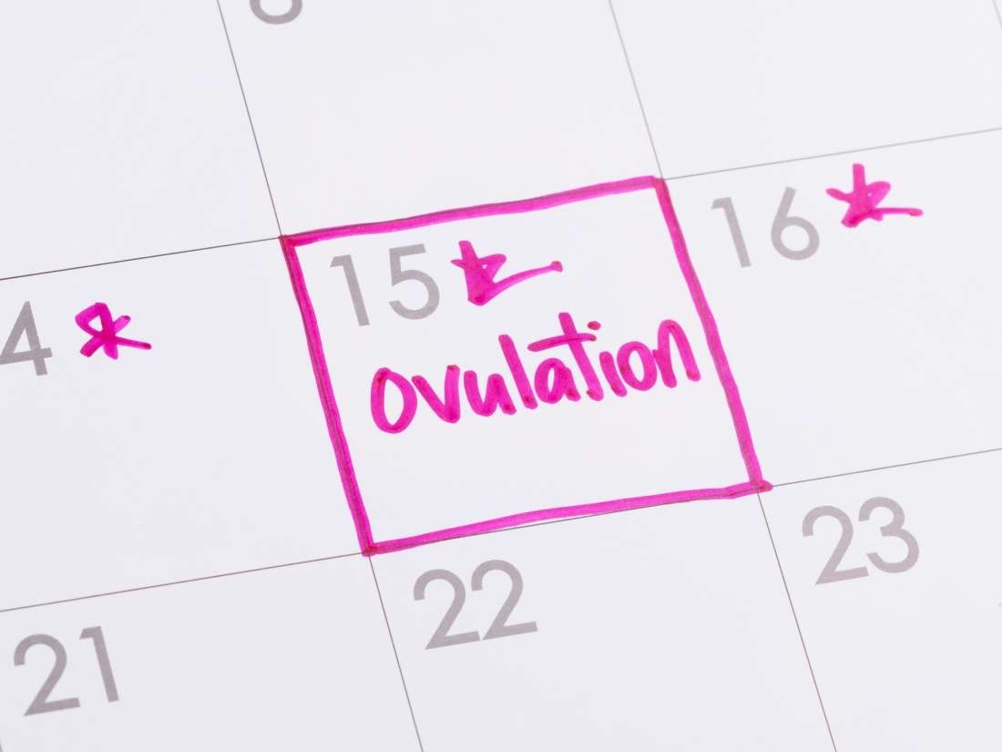When Am I Most Fertile? How To Calculate Your Ovulation Cycle 3 Month Ovulation Calendar Calculator