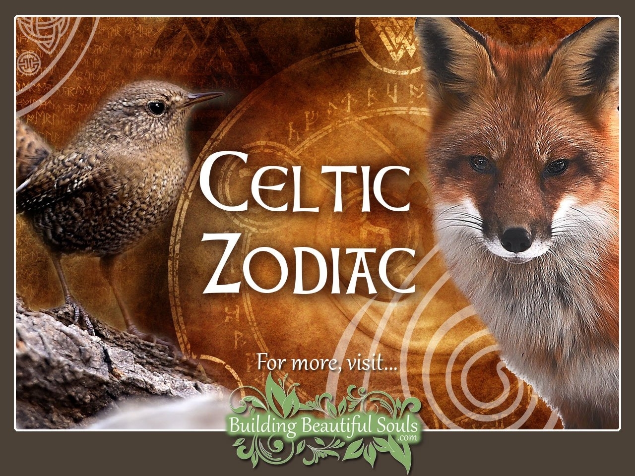 Celtic Zodiac Signs &amp; Astrology | Celtic Animal Zodiac Zodiac Calendar Animal Meanings