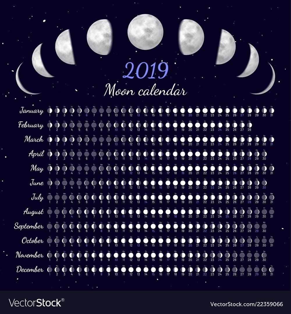 Moon Phases Calendar Royalty Free Vector Image Moon Calendar In Zodiac