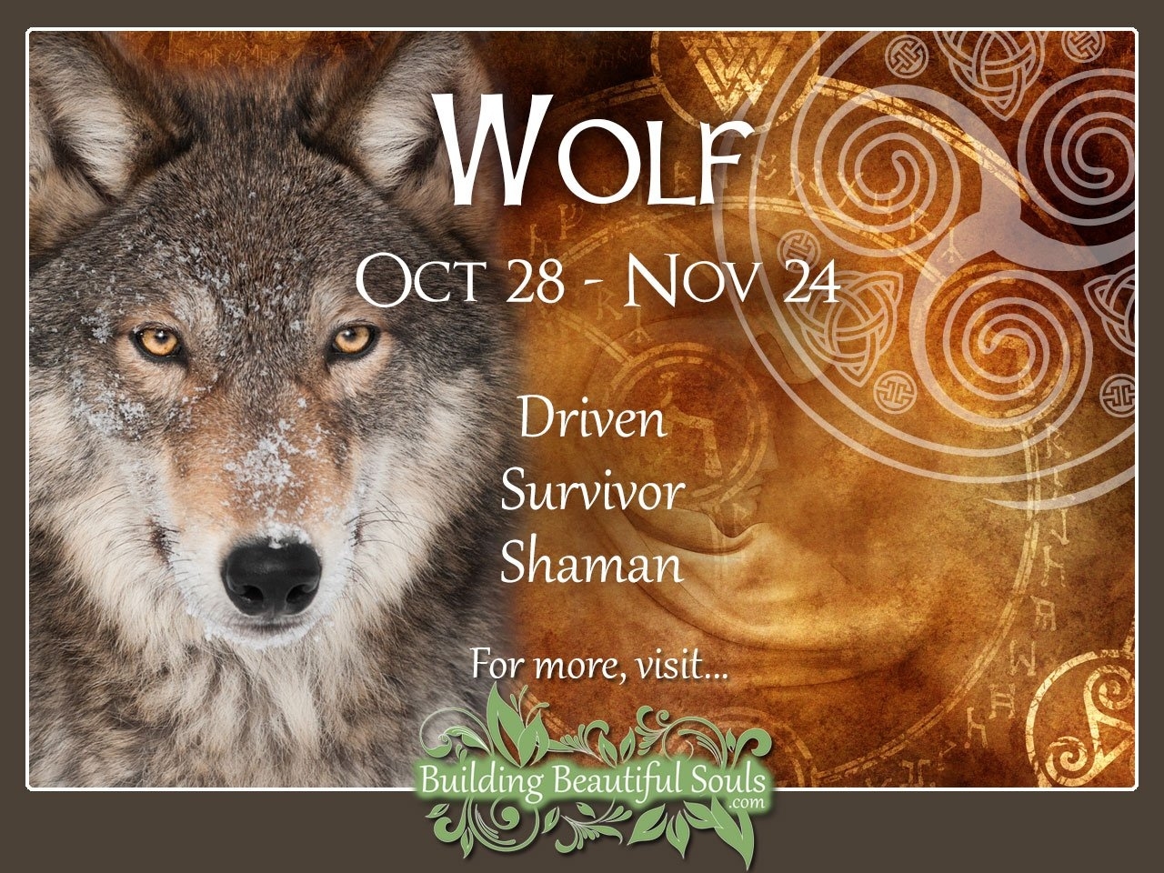 Wolf Celtic Zodiac Sign Meanings, Traits, Personality Zodiac Calendar Animal Meanings