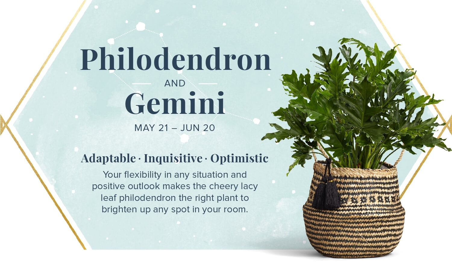 Your Perfect Plant According To Your Zodiac Sign | Proflowers Zodiac Calendar For Planting