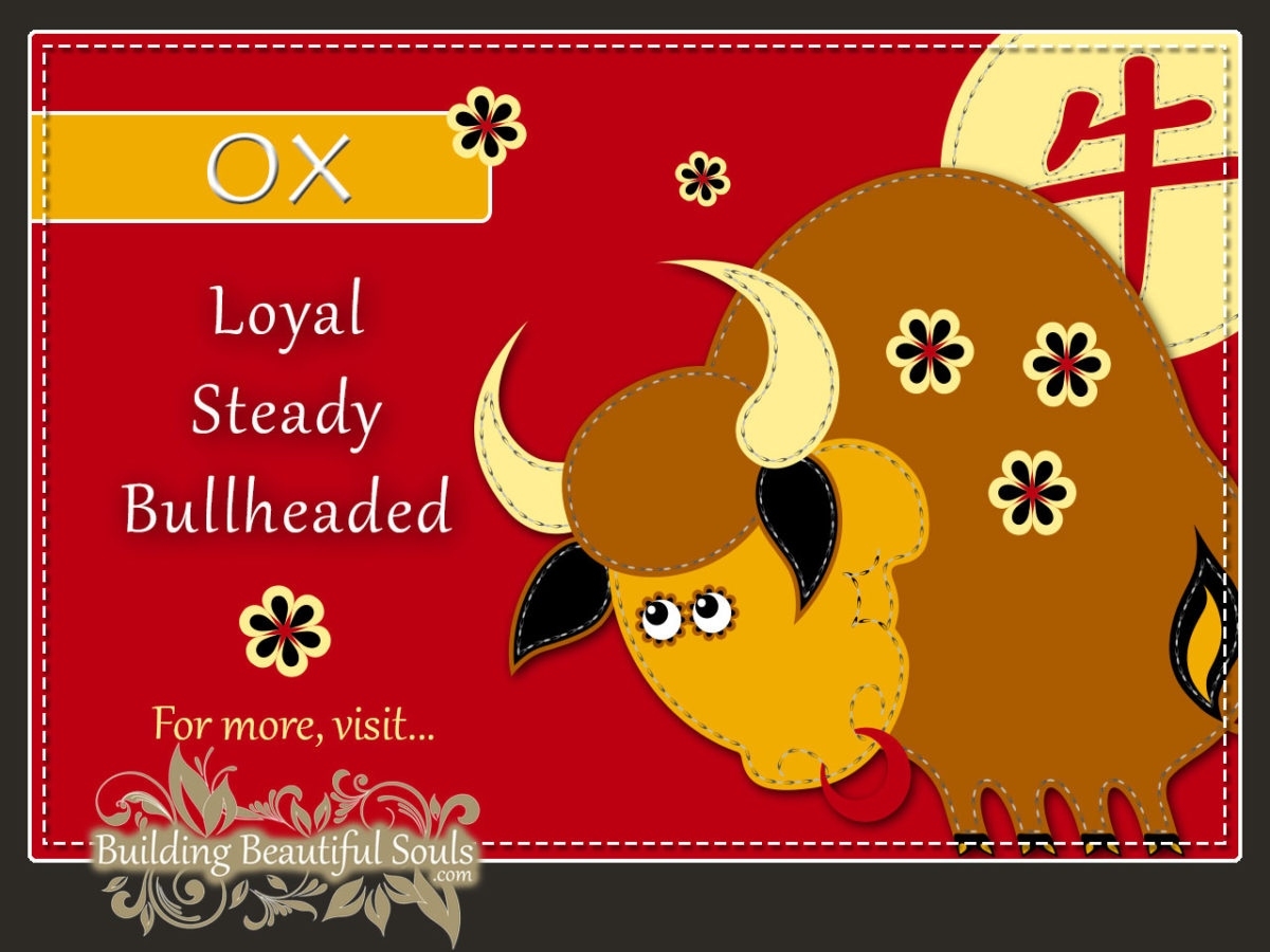 Chinese Zodiac Ox | Year Of The Ox | Funny Horoscopes Chinese Zodiac Calendar Ox