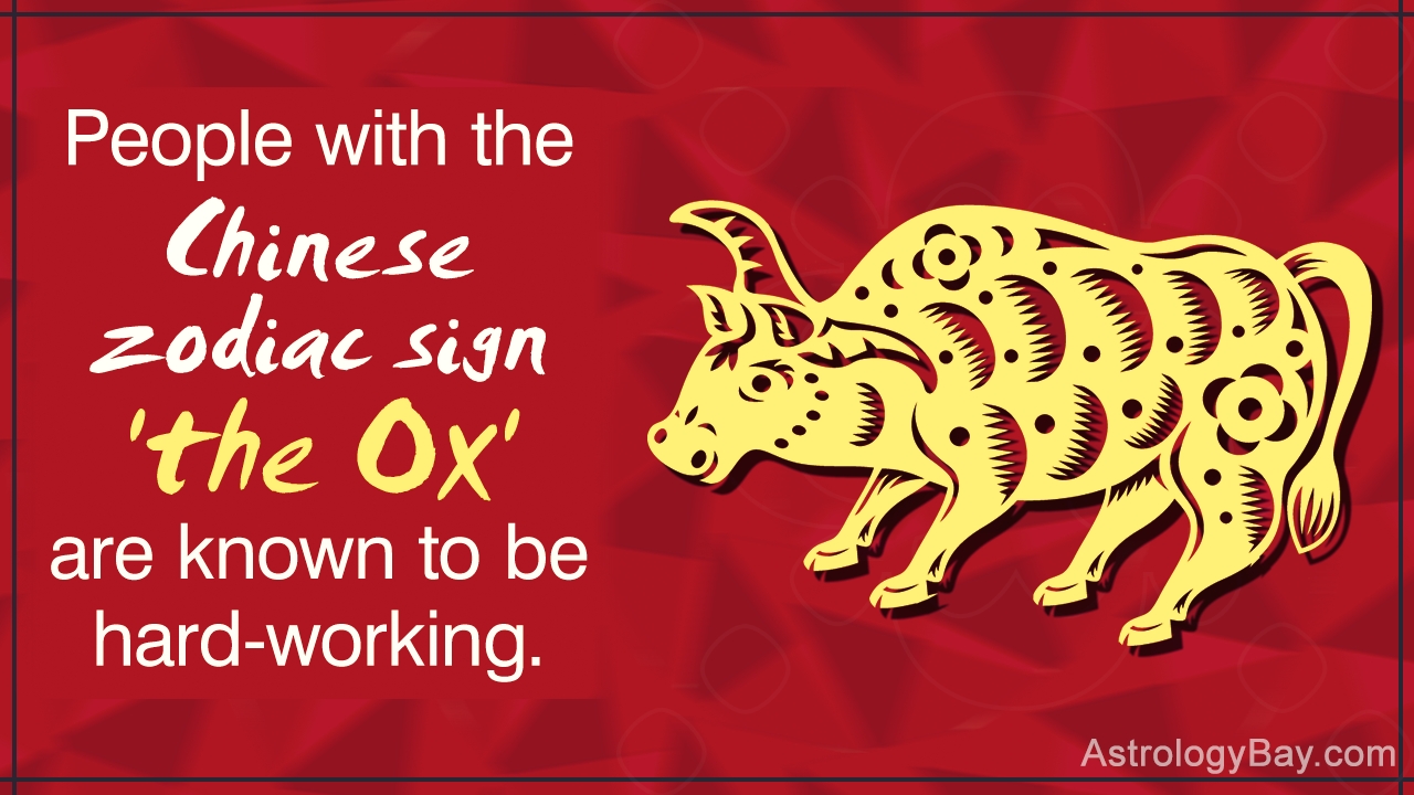 Detailed Information About The Chinese Zodiac Symbols And Chinese Zodiac Calendar Ox