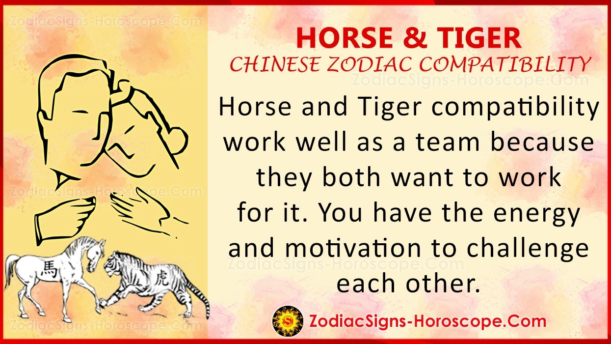 Horse And Tiger Chinese Zodiac Compatibility: Love And Chinese Calendar Zodiac Compatibility