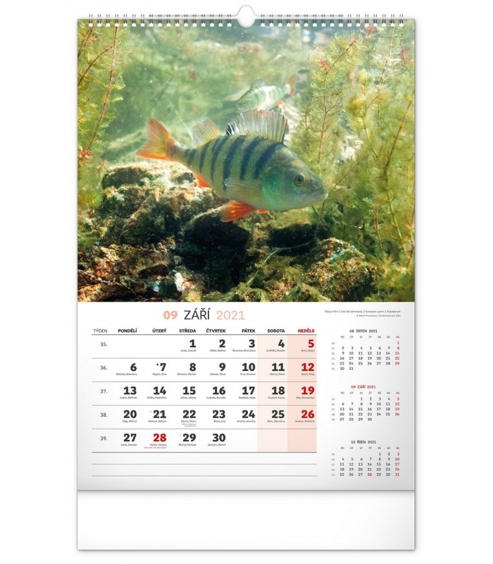 Wall Calendar Fishing Cz 2021 June 2021 Fishing Calendar