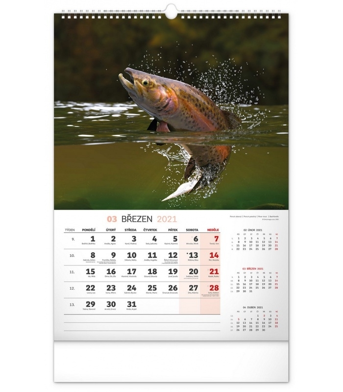 Wall Calendar Fishing Cz 2021 June 2021 Fishing Calendar