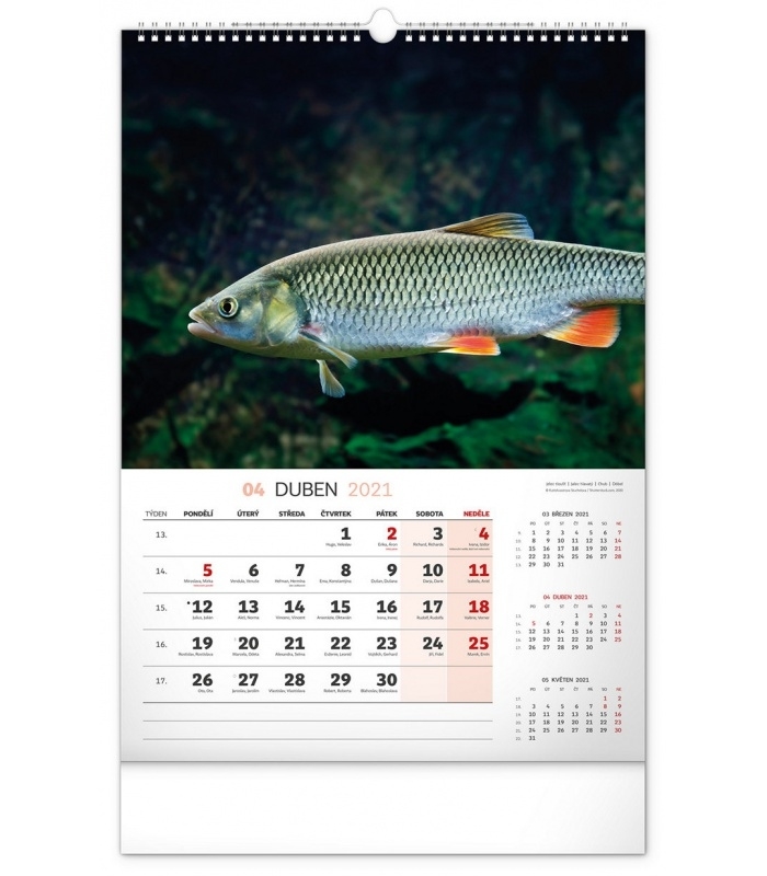 Wall Calendar Fishing Cz 2021 June 2021 Fishing Calendar