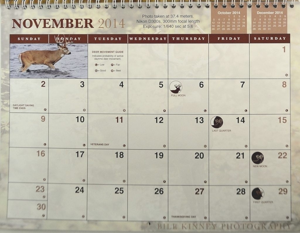 2021 Rut Moon | Calendar Printables Free Blank August 2021 Lunar Calendar