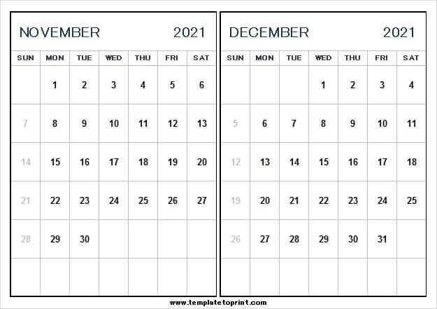 Nov Dec 2021 Calendar Free Download - 2021 Calendar Printable Blank Calendar For November And December 2021