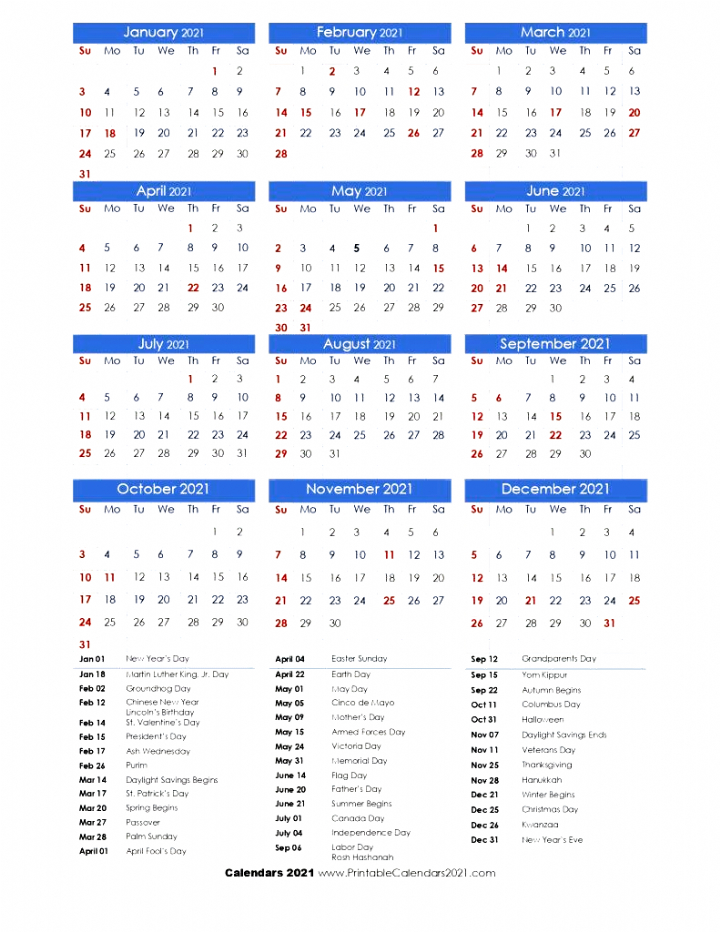 20+ 2021 Holidays Calendar - Free Download Printable December 2020 January 2021 Calendar South Africa
