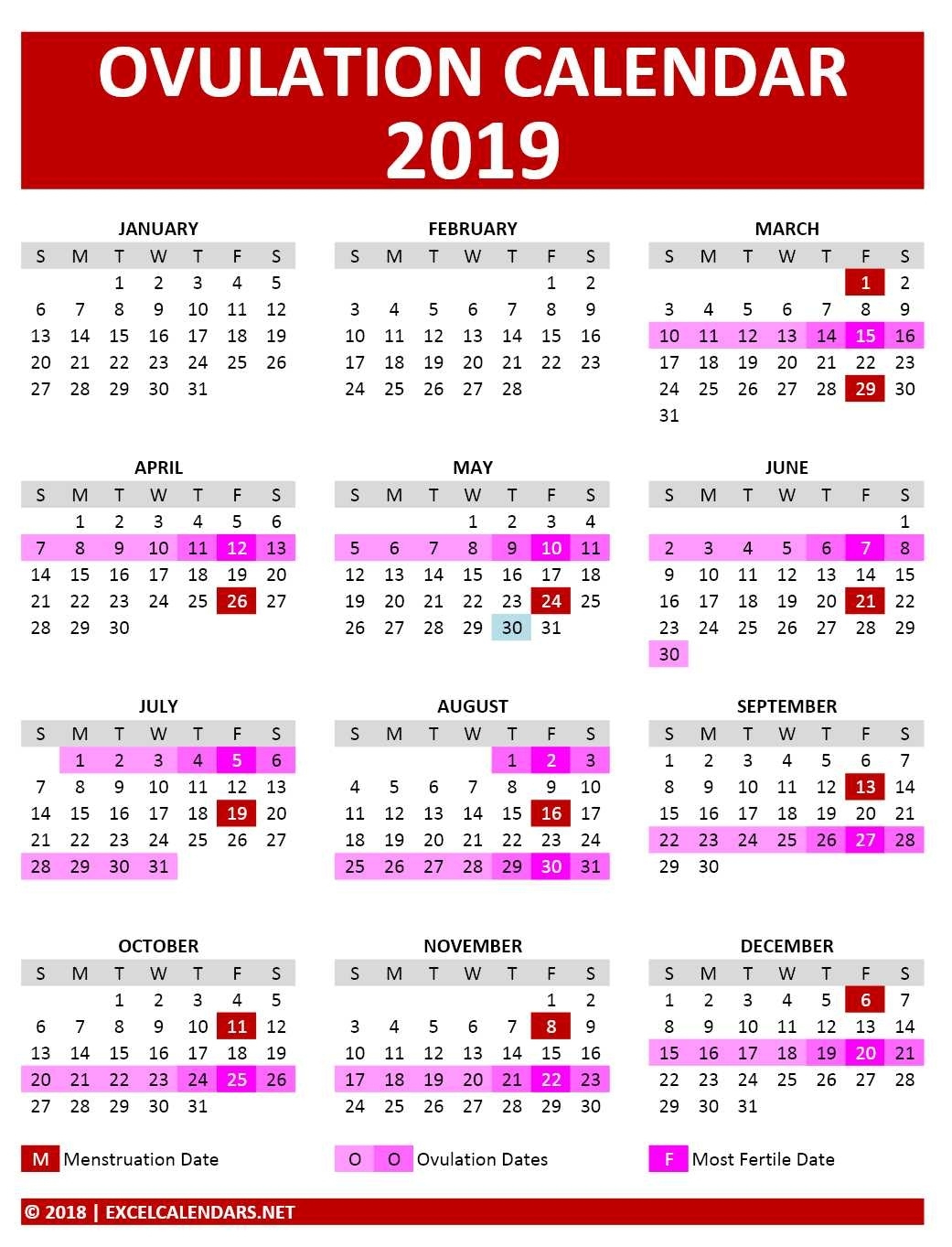 Calendar 2021 South Africa Holidays | Avnitasoni November 2021 Calendar South Africa