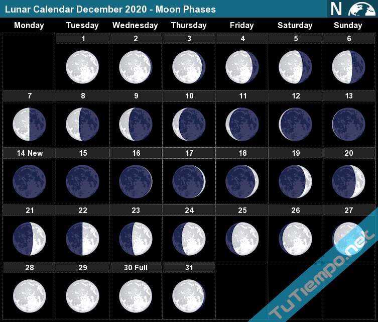 Full Moon Calendar December 2021 | Calendar 2021 November 2021 Moon Calendar