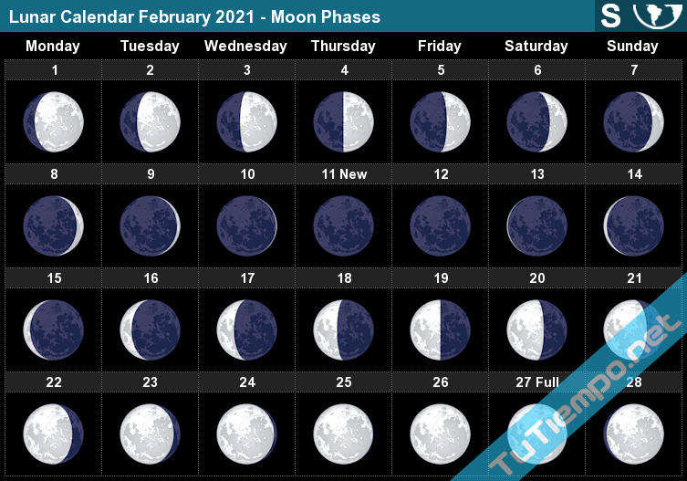 Moon Calendar 2021 November 2021 Moon Calendar