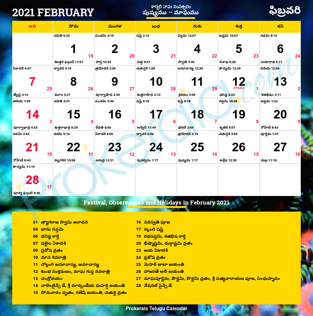 Telugu Calendar 2021, February Telugu Calendar November 2021 Telangana