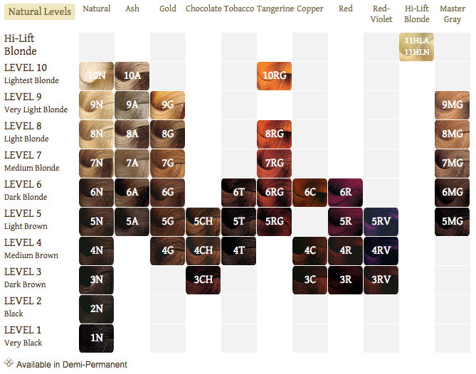 Argan-Oil-Hair-Color (With Images) | Argan Oil Hair Color Morocco Hair Cut Chart