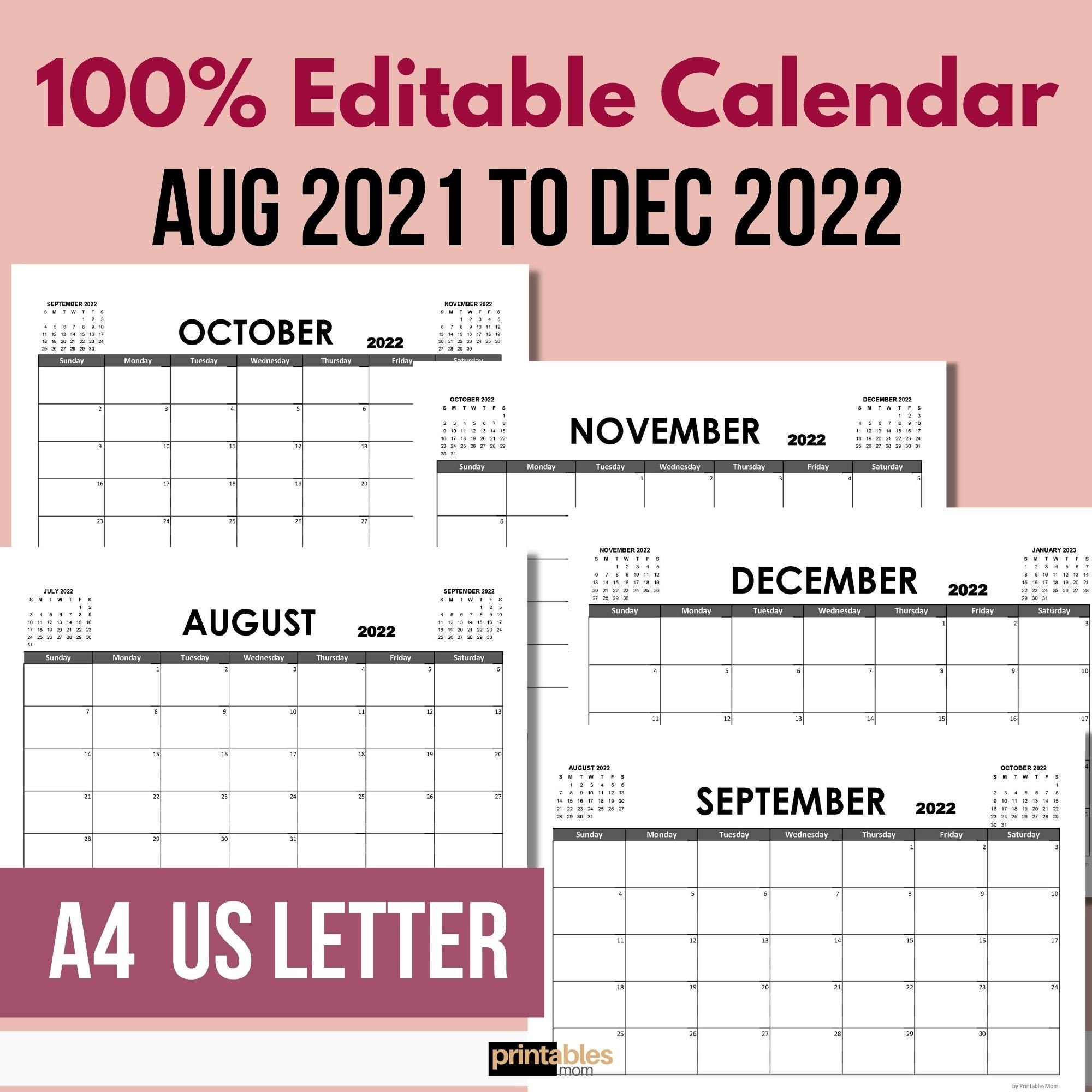 Aug 2021 To Dec 2022 Calender 100 Percent Editable Excel Spanish Calender December 2022