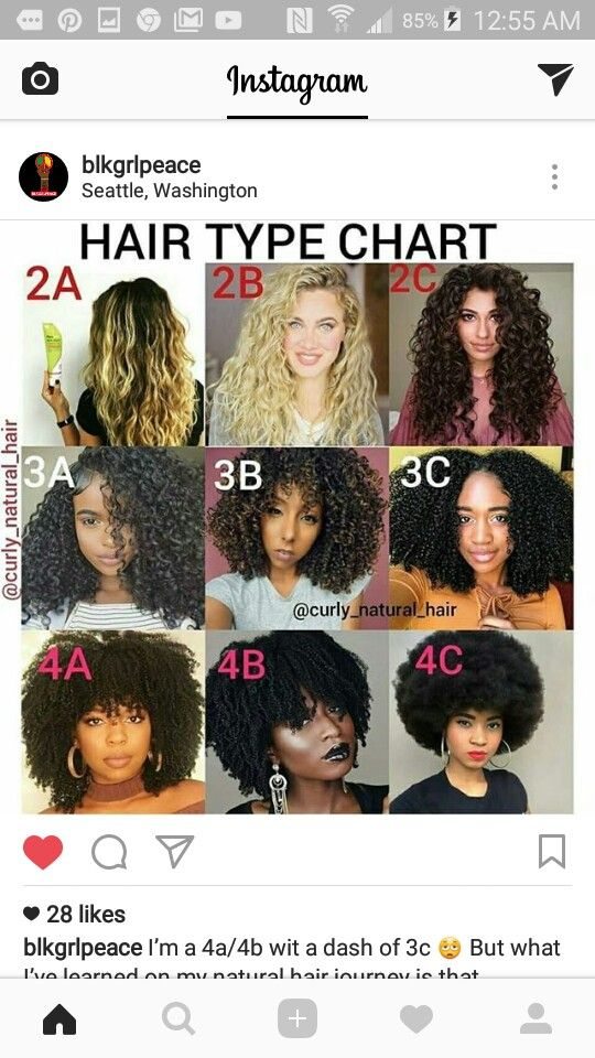 Pin By Doll Kennedy On Hair Goals | Hair Texture Chart Morocco Hair Cut Chart