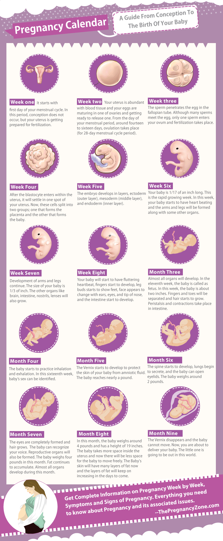 Pregnancy Calendar 3 Weeks | Calendar Printables Free 3 Week Calendar Printable
