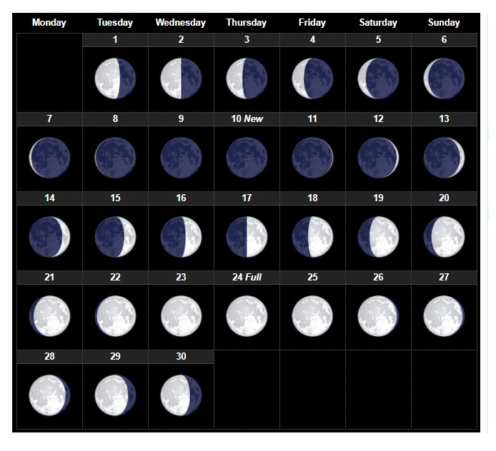 Printable Lunar Calendar 2021 | Calendar Printables Free Blank Blank Moon Calendar Printable